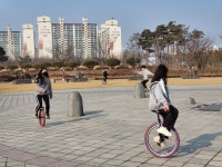 한국체대 라이온 태권도 합기도