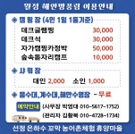 고흥월정리의해안방풍림