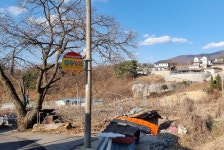 선웅농원