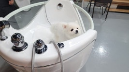 사단법인케이에스디문화원