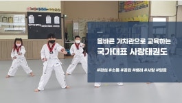 국가대표사랑태권도