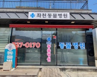 좌천동물병원