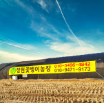 장원 꽃뱅이 농장
