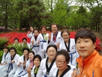 인성태비태권도