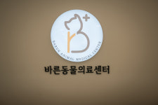 노원 바른동물의료센터