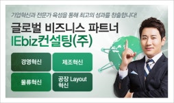 IEbiz컨설팅 / 아이비즈컨설팅