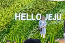 제주삼성렌트카