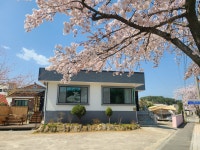 바라던 바다펜션