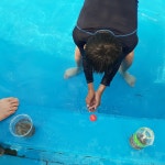 조수골체험휴양마을