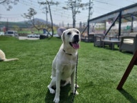 안녕똑독아 트레이닝센터