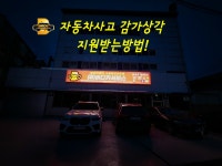 버디카서비스