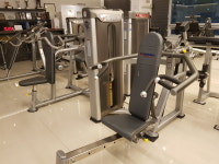 팀 크라운 피티샵