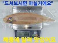 군산박대삼촌