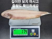군산박대삼촌