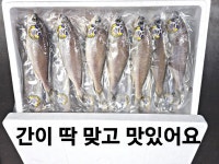 군산박대삼촌