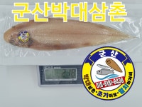 군산박대삼촌