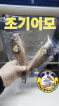군산박대삼촌