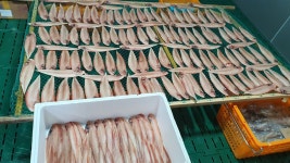 군산박대삼촌