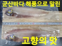 군산박대삼촌
