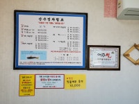 산수정