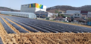 삼남매농장