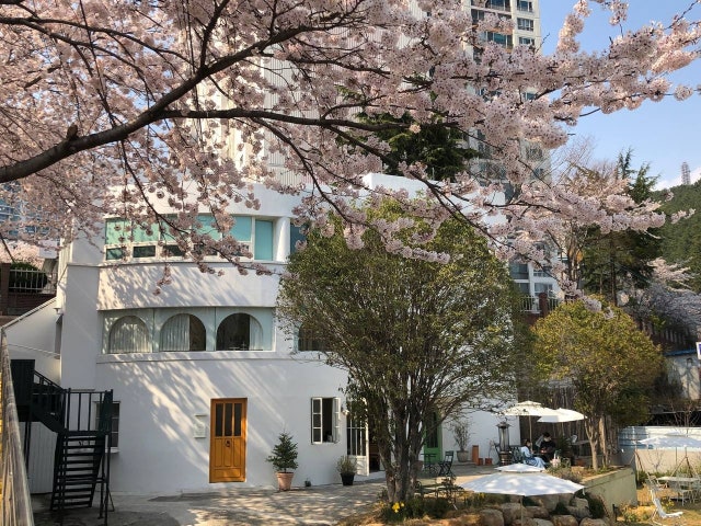 듀스포레