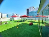 안양강아지 고양이 도그마루