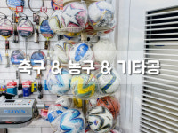 반도스포츠