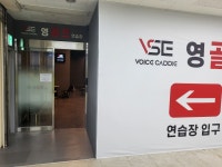 VSE영골프연습장