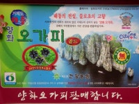 양화오가피농장