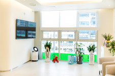 서울소나무치과의원