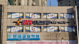 금빛태권도