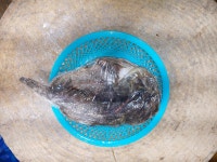 영덕수산물건조