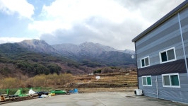 황매산애푸드