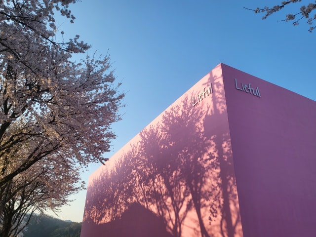 로우풀