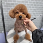 멍케어