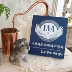 휴먼 앤 펫