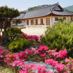 금당실전통마을