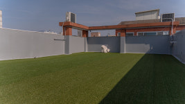 퍼피쿼터스 애견미용 유치원 호텔