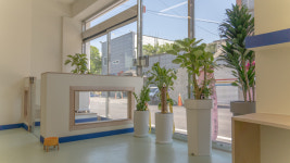 퍼피쿼터스 애견미용 유치원 호텔