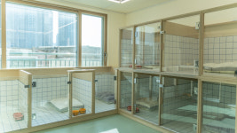 퍼피쿼터스 애견미용 유치원 호텔