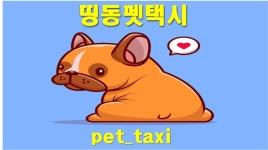 24시띵동펫택시