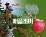 솔마루농원