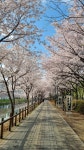 두산쌍용할인마트