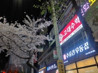 고대수학학원