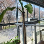 여주장어 명성회관