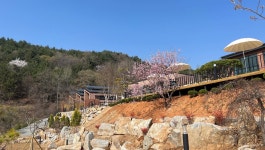 산아민박