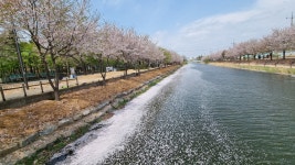 두산쌍용할인마트