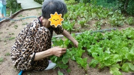 명성솔빛요양원