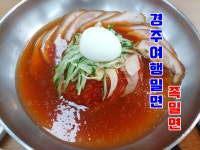 경주밀면여행밀면